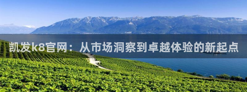 7790必发集团官网入口：凯发k8官网：从市场洞察到卓越体验的新起点