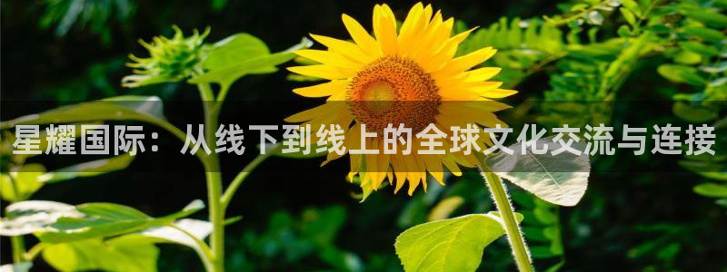 7790必发集团集团股票：星耀国际：从线下到线上的全球文化交流与连接