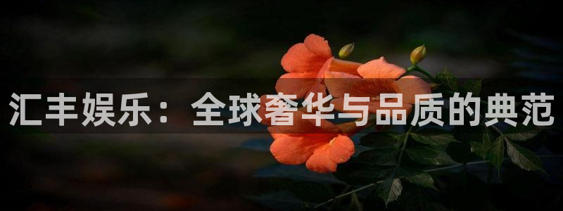 7790必发集团体育注册登录入口：汇丰娱乐：全球奢华与品质的典范