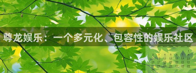 7790必发集团2体育登录入口：尊龙娱乐：一个多元化、包容性的娱乐社区