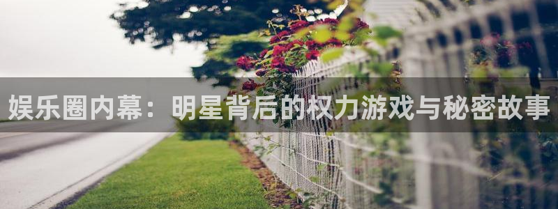 7790必发集团体育代理申请流程：娱乐圈内幕：明星背后的权力游戏与秘密故事