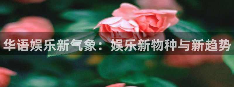 7790必发集团体育f开号：华语娱乐新气象：娱乐新物种与新趋势