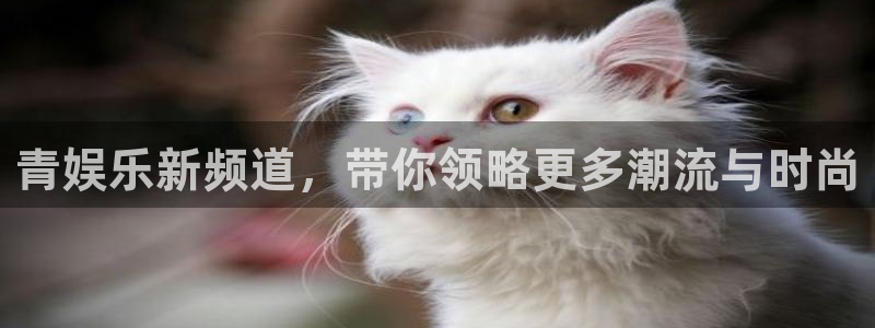 7790必发集团3官网：青娱乐新频道，带你领略更多潮流与时尚