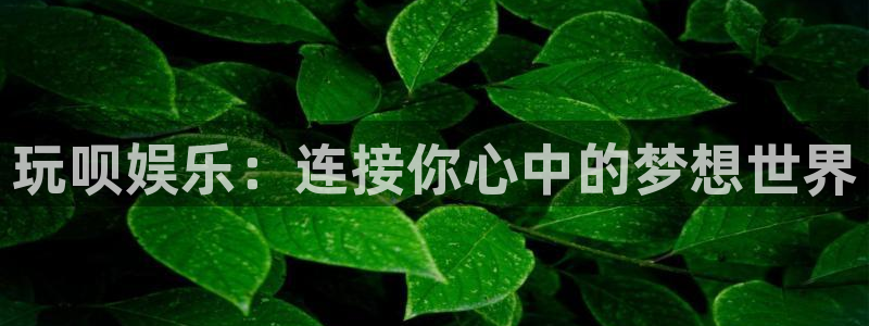 7790必发集团3官网：玩呗娱乐：连接你心中的梦想世界