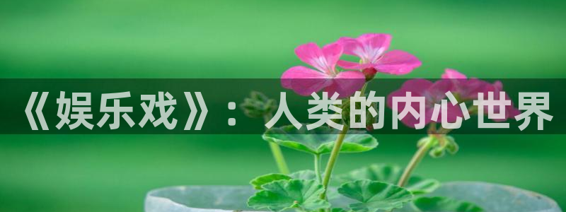 7790必发集团招商：《娱乐戏》：人类的内心世界