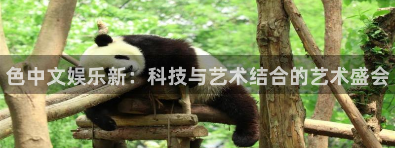 7790必发集团体育凯捷平台代理：色中文娱乐新：科技与艺术结合的艺术盛会