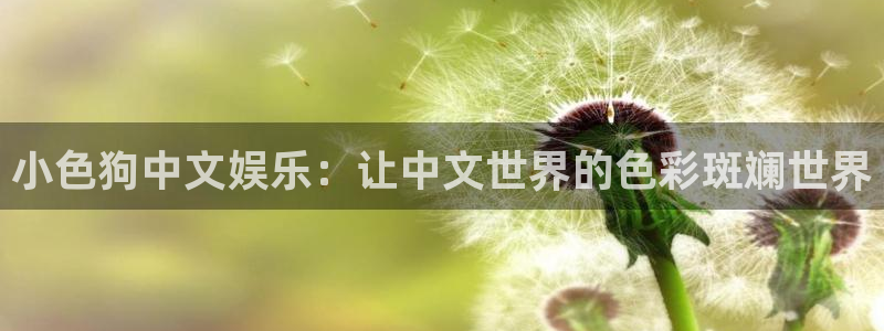 7790必发集团2平台登录：小色狗中文娱乐：让中文世界的色彩斑斓世界