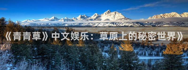 7790必发集团凯捷开号链接：《青青草》中文娱乐：草原上的秘密世界》