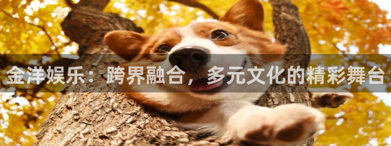 7790必发集团体育平台总代理：金洋娱乐：跨界融合，多元文化的精彩舞台
