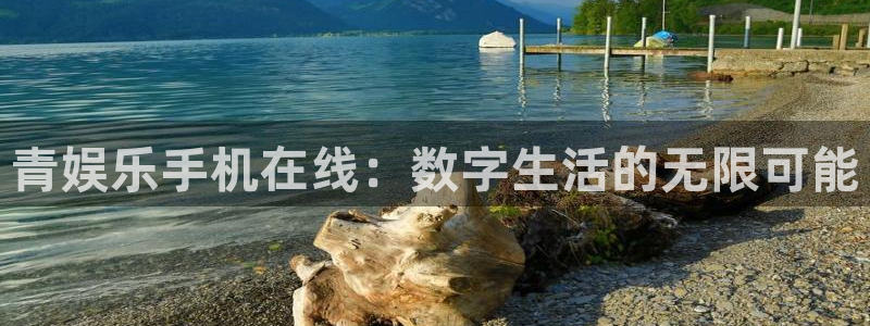 7790必发集团f平台注册：青娱乐手机在线：数字生活的无限可能
