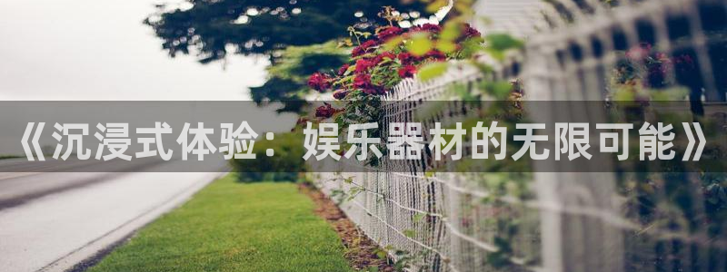 7790必发集团平台开户链接：《沉浸式体验：娱乐器材的无限可能》