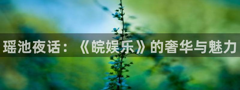 7790必发集团f平台注册：瑶池夜话：《皖娱乐》的奢华与魅力