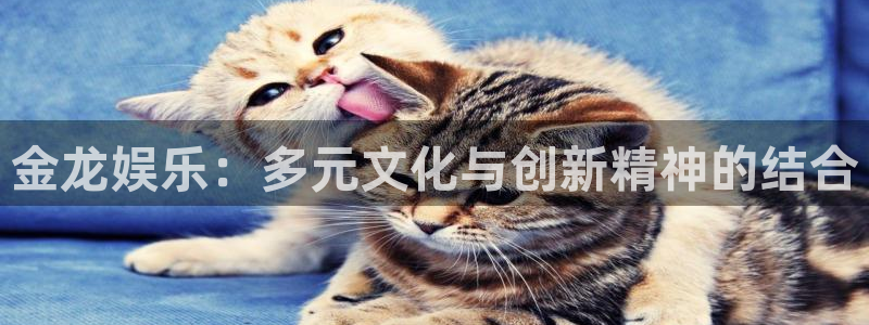 7790必发集团登录注册：金龙娱乐：多元文化与创新精神的结合