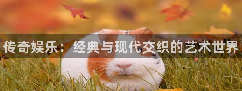 7790必发集团2官网：传奇娱乐：经典与现代交织的艺术世界