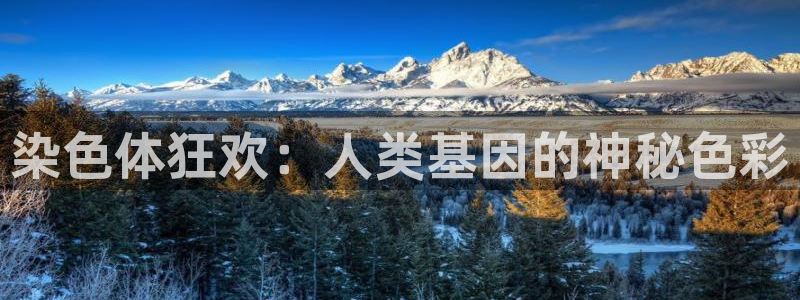 7790必发集团2官网：染色体狂欢：人类基因的神秘色彩
