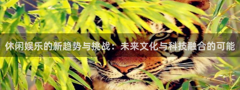 7790必发集团平台：休闲娱乐的新趋势与挑战：未来文化与科技融合的可能